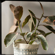 Canvas Bucket - Flores