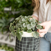 Canvas Bucket - Belvedere