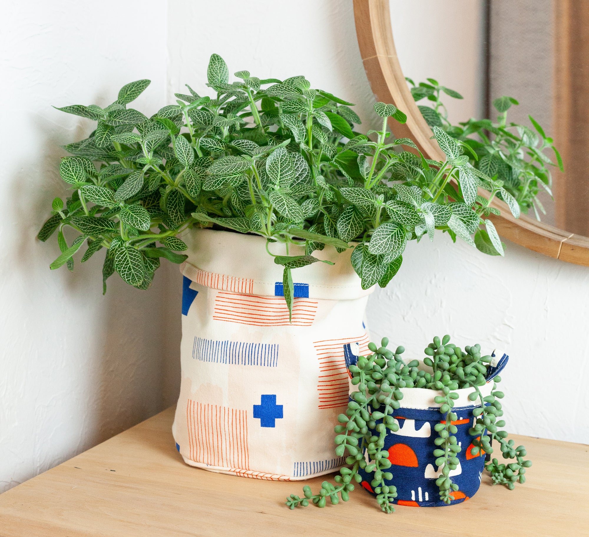 Building Sustainable Habits While Sheltering in Place