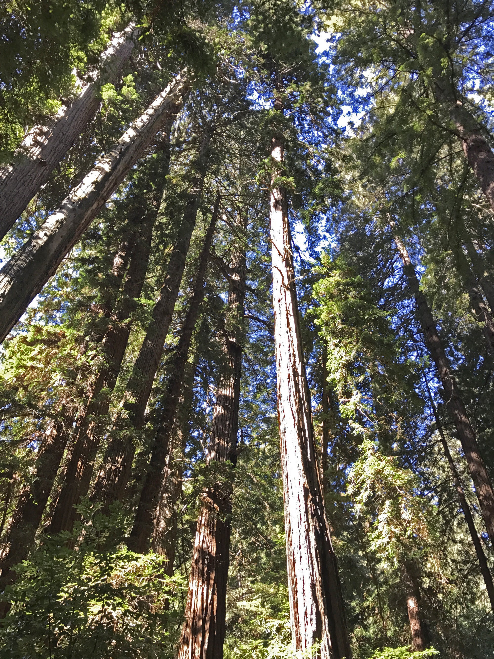 Favourite Spring Hikes