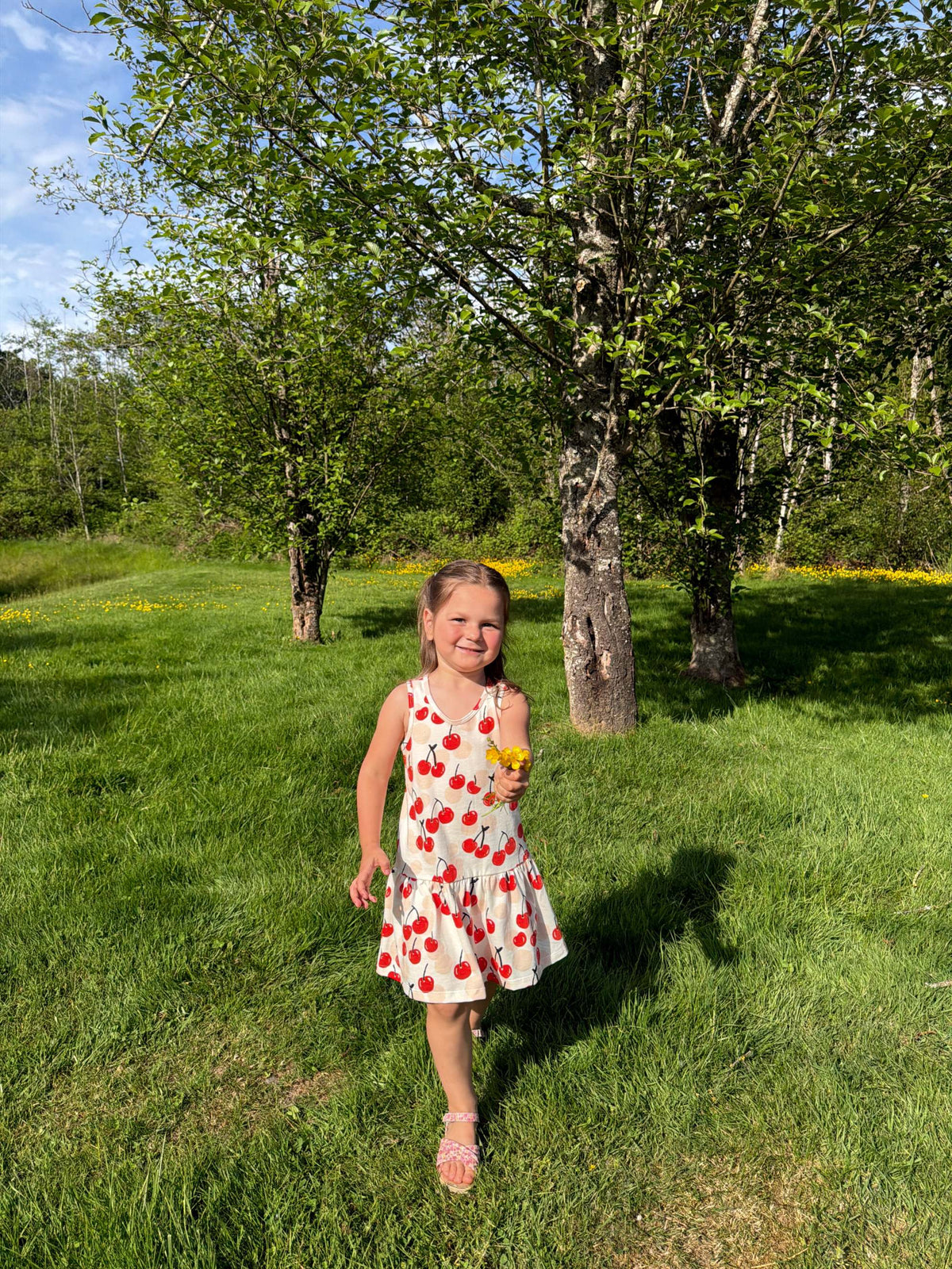 Valencia Dress - Cherries Red