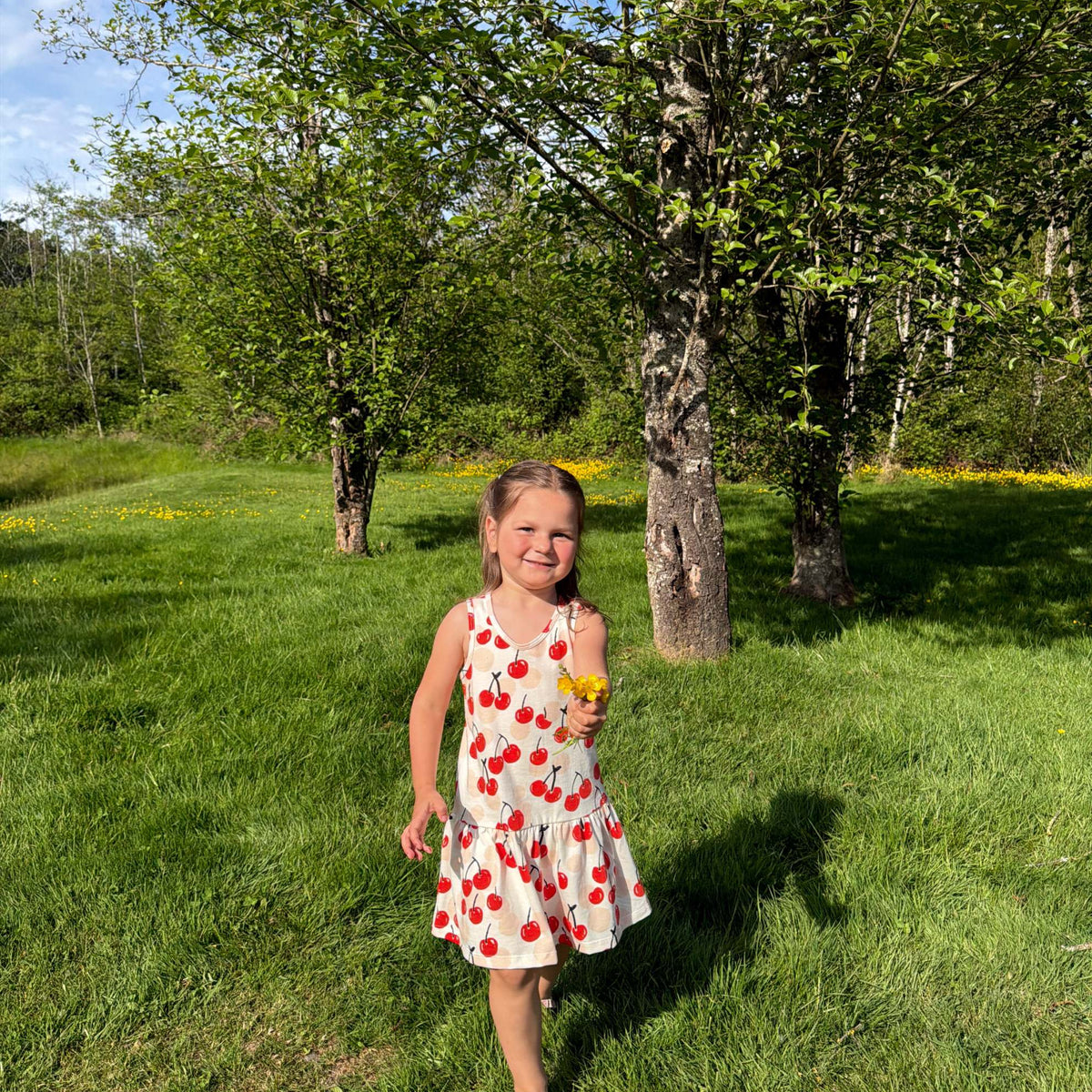 Valencia Dress - Cherries Red