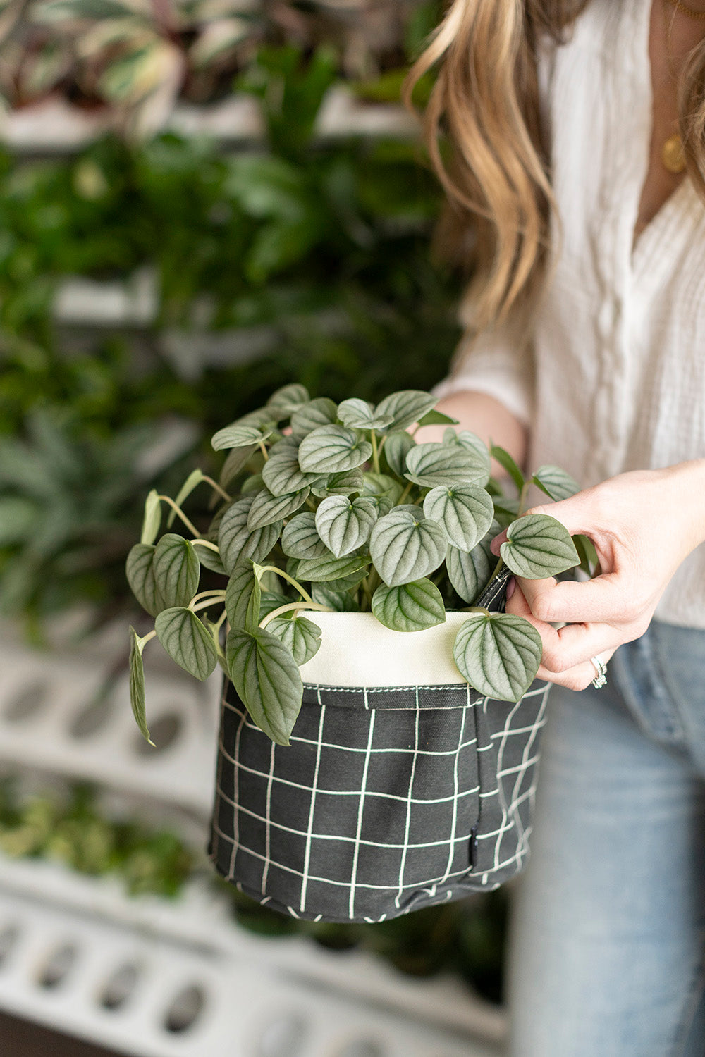 Canvas Bucket - Belvedere