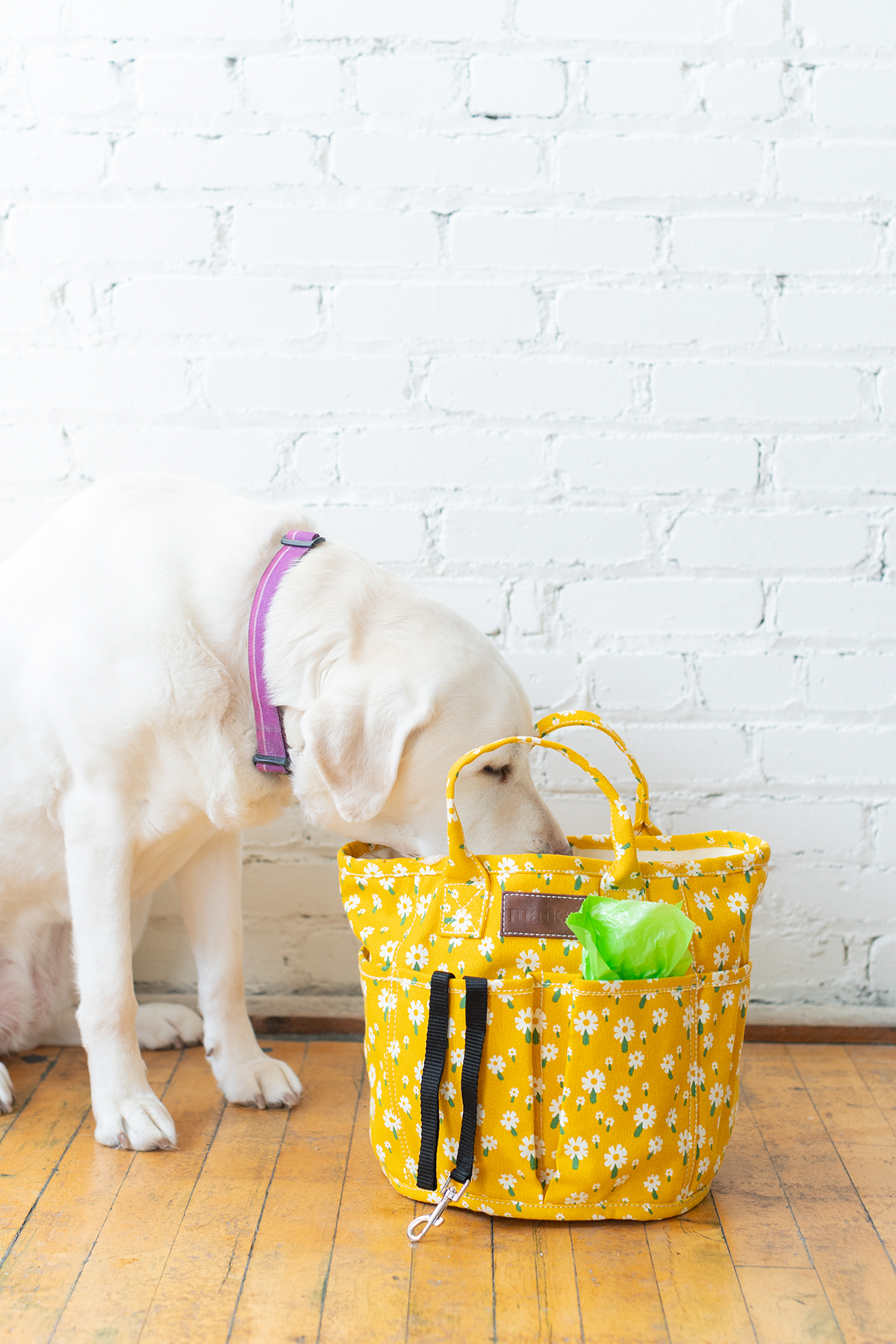 Project Tote - Carmel