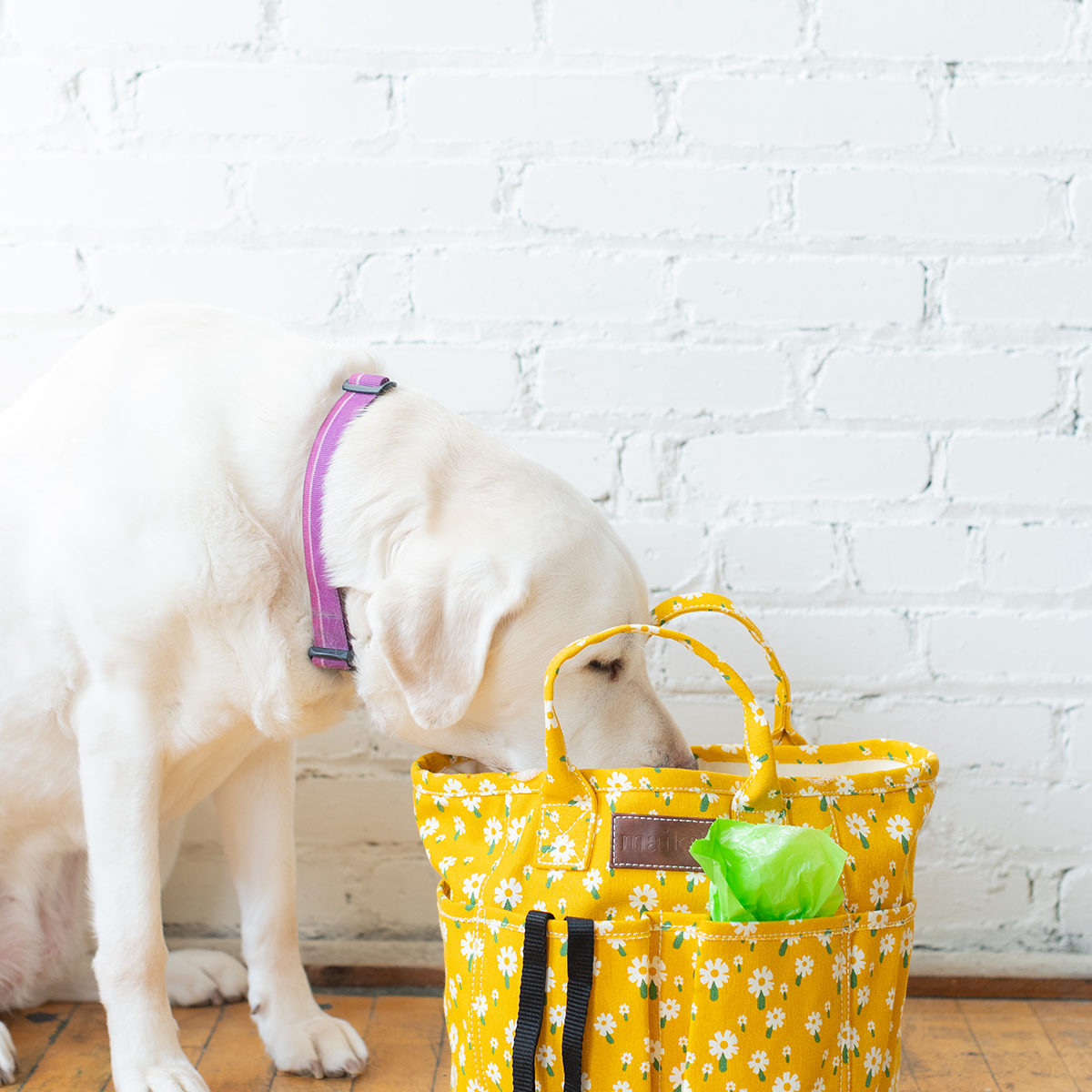 Project Tote - Carmel